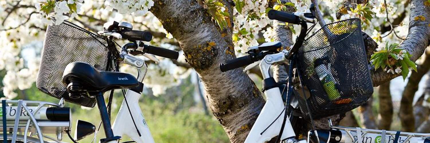 Sun-E-Bike Sun-E-Bike