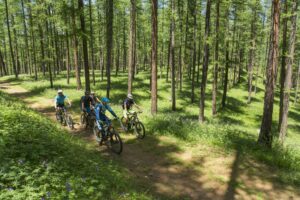 BPJEPS Activités du Cyclisme