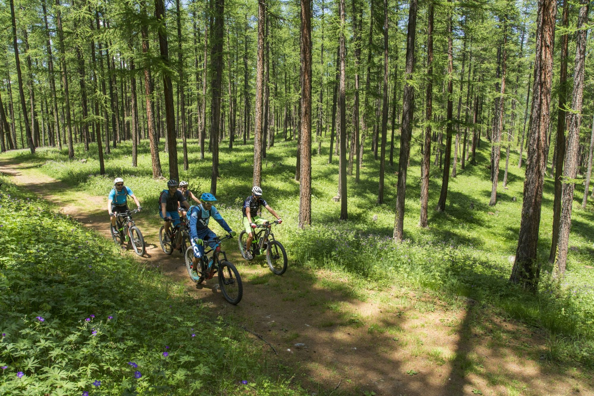 BPJEPS Activités du Cyclisme BPJEPS Activités du Cyclisme IFV