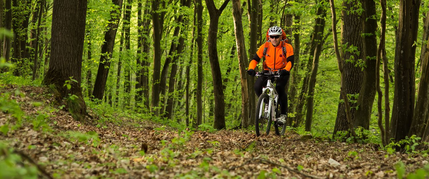 balade pleine nature velo écologie