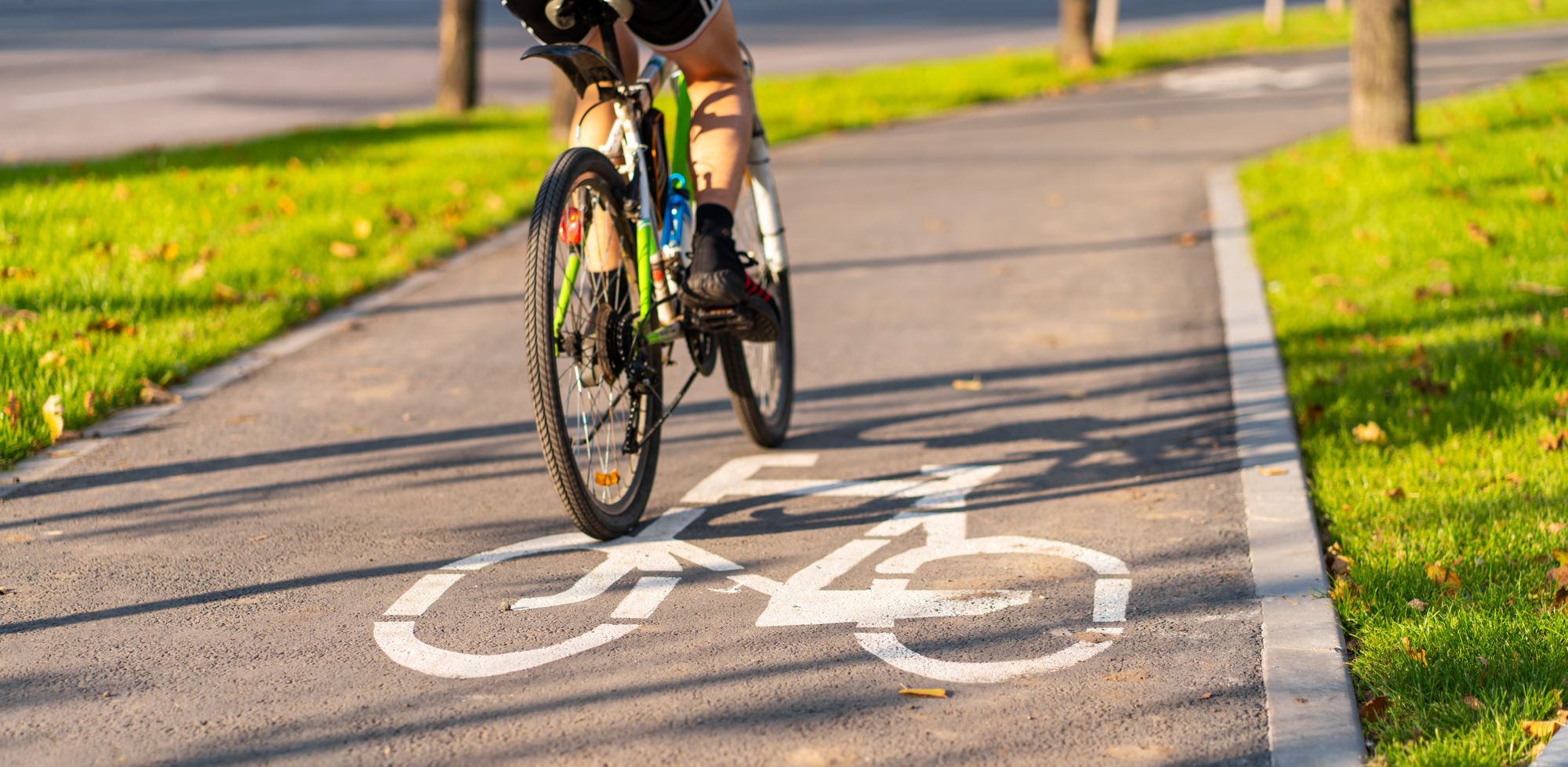 Le secteur du vélo, un secteur écologique par excellence Métier vélo écologique
