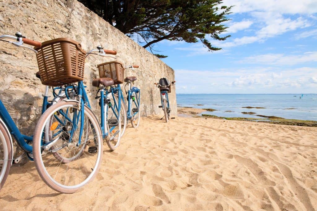 Le métier de loueur de vélos