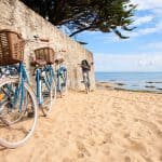 Le métier de loueur de vélos