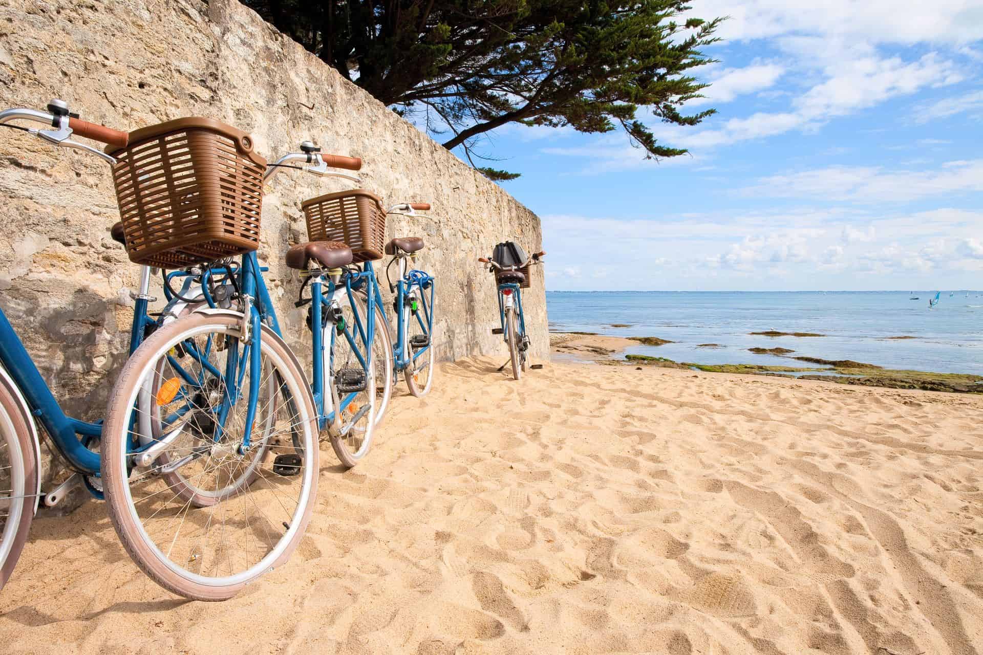 Le métier de loueur de vélos