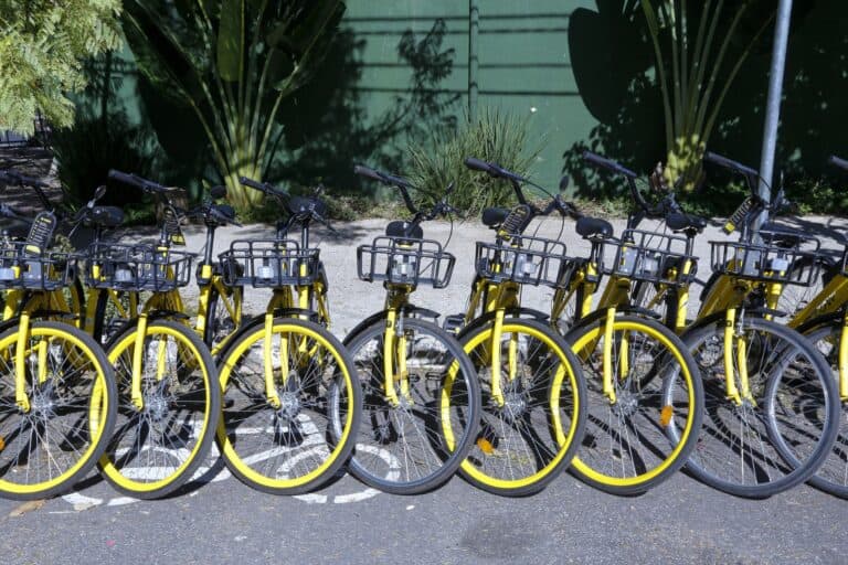Loueur de vélo